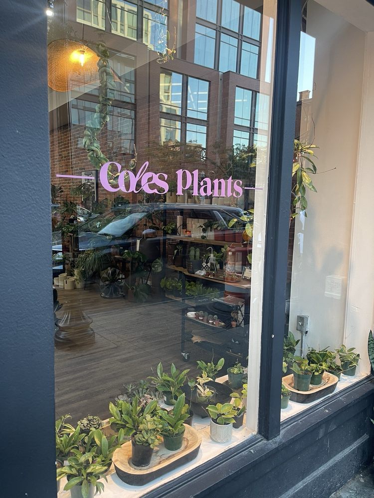 Coles Plants