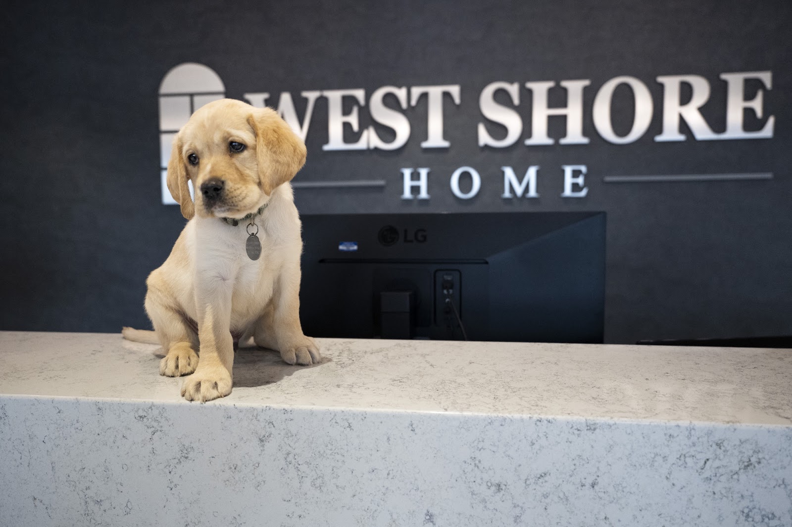 WeProtectCle Home &