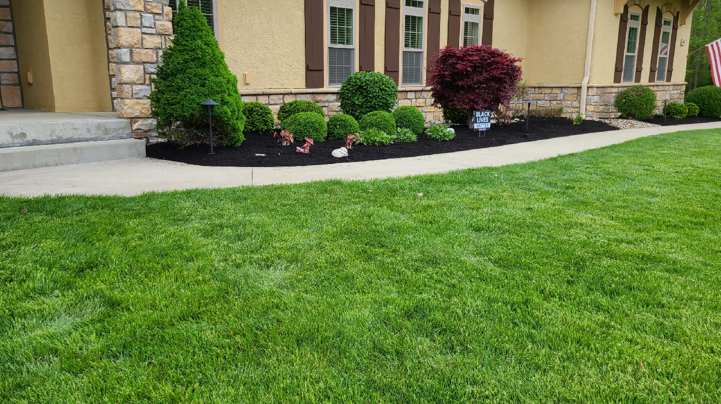 Q & Son's Hauling & Landscaping (THome &