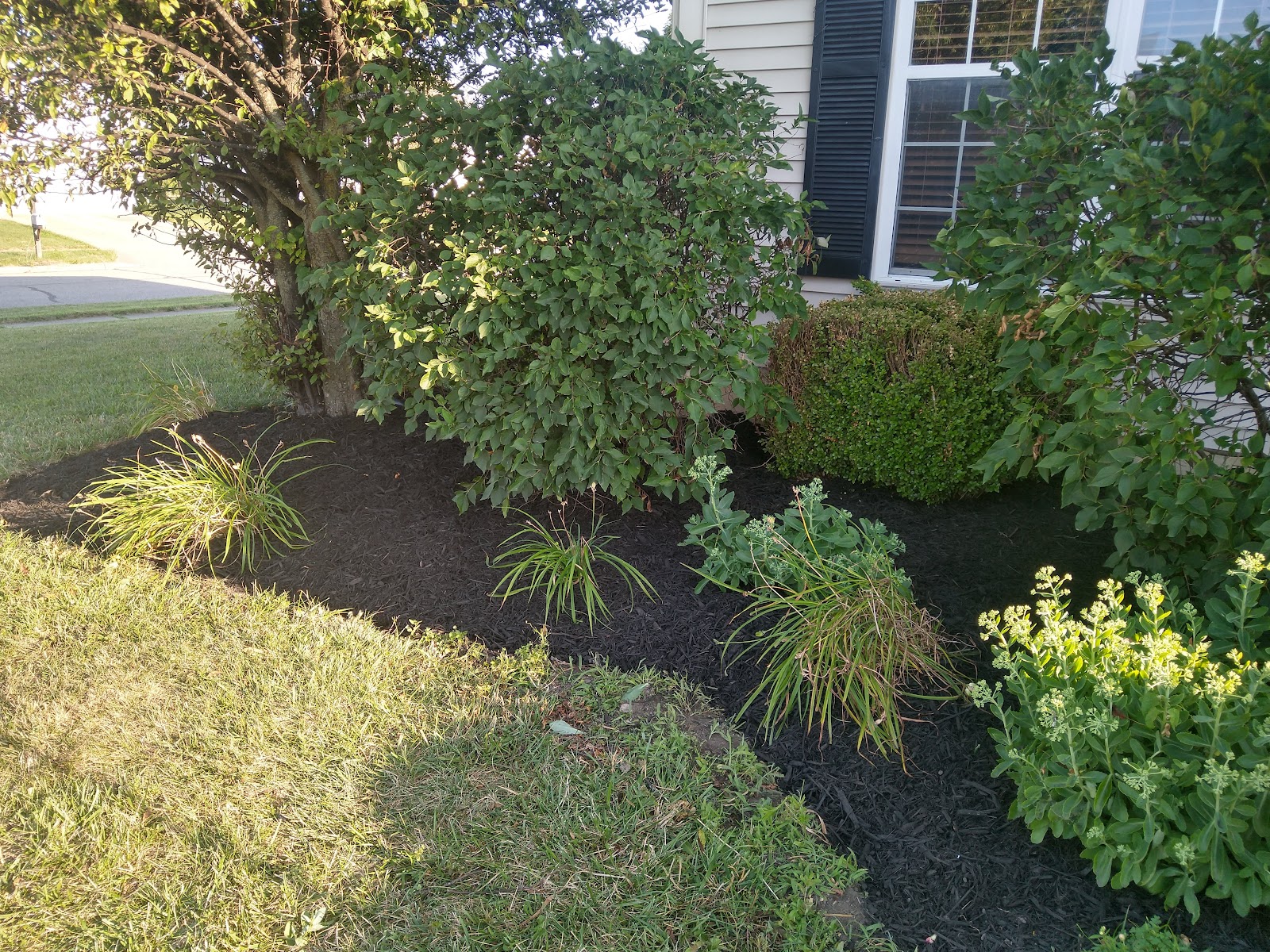 Plantlyfe3 LLC