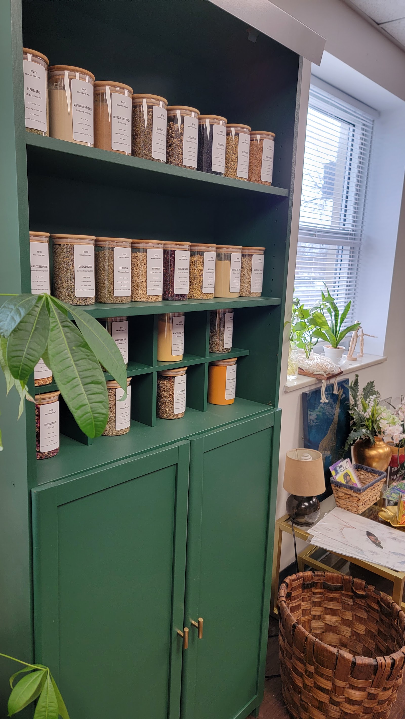 Rooted Cause Shop